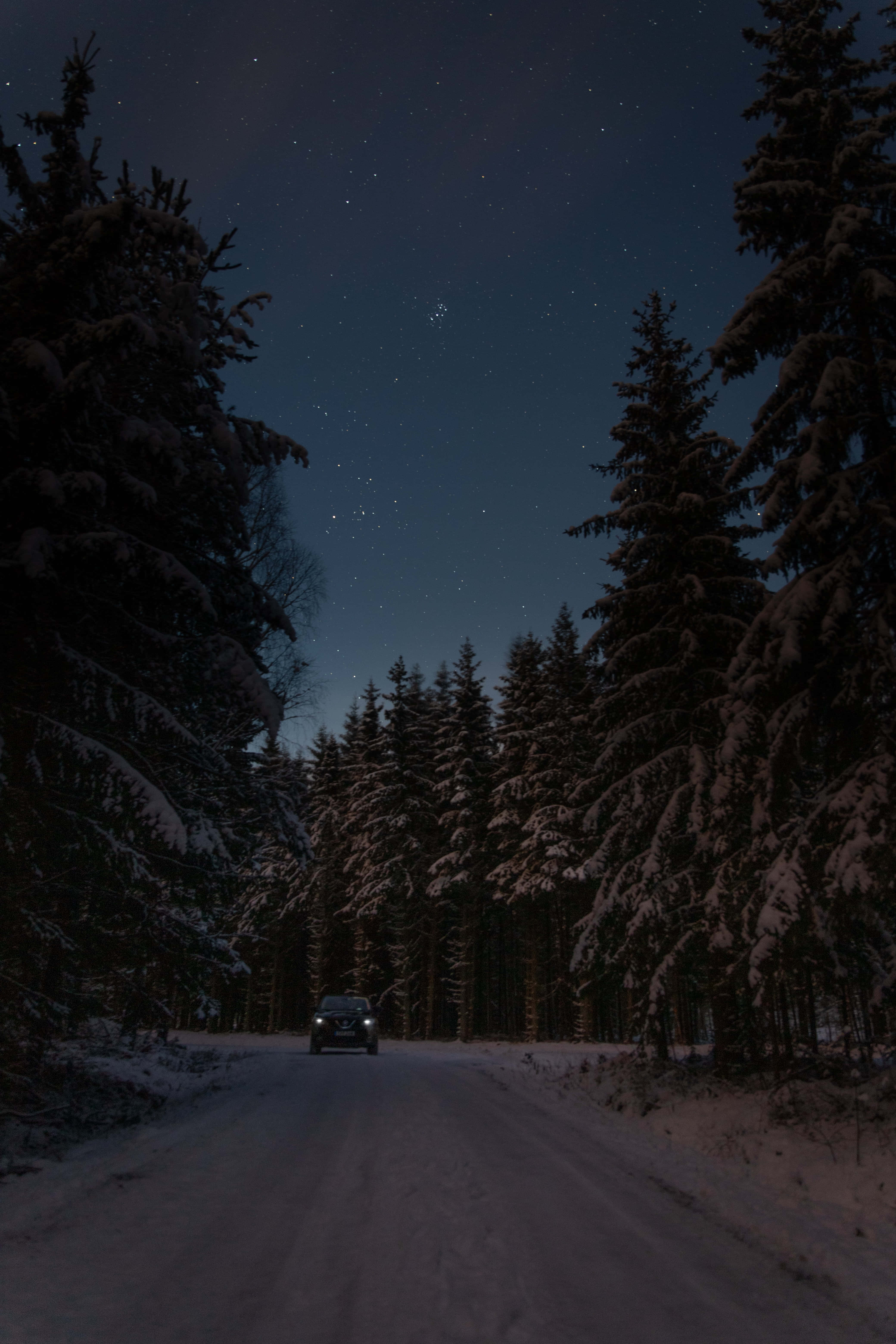 Winter Night Desktop, car, snow-covered forest road, 5K Phone Wallpaper