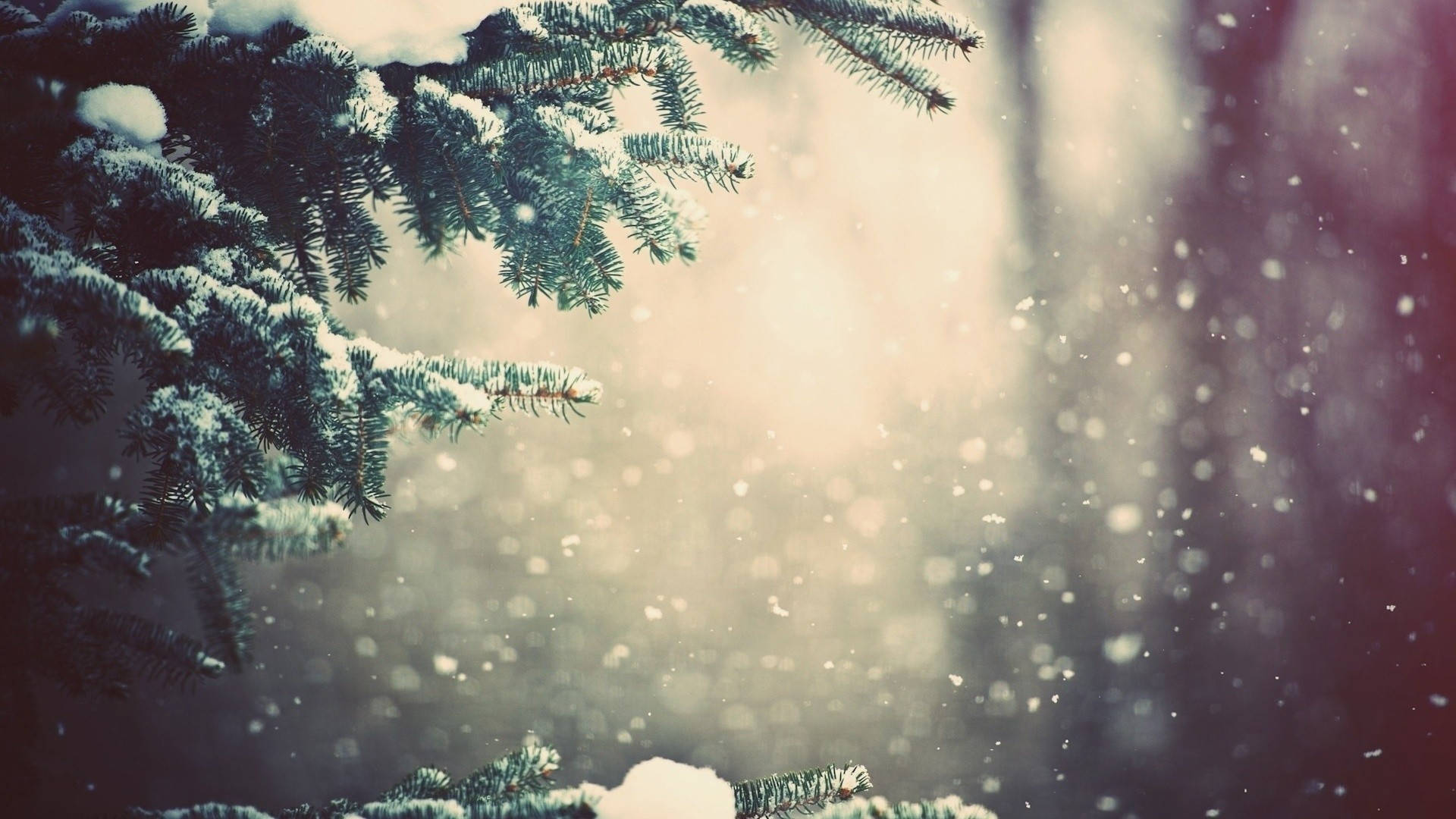 1920x1080, winter desktop display, snow, Full HD Desktop Wallpaper