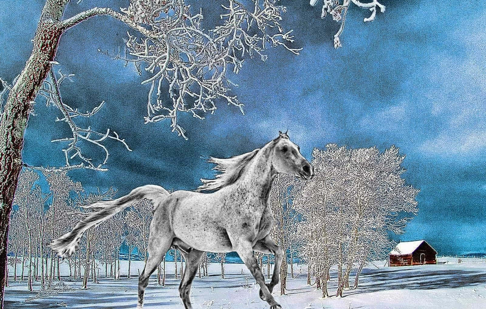 Snowy Winter Landscape Painting, white horse, snowy winter forest, HD Desktop Wallpaper