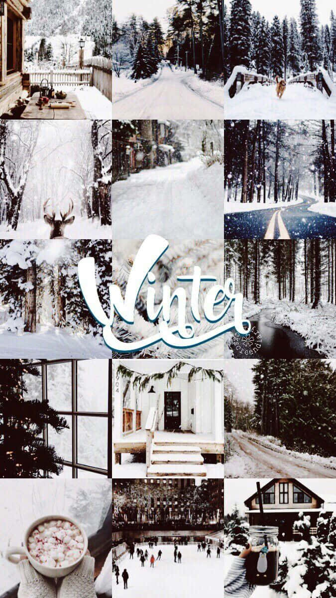 winter aesthetic, snowy winter, forest paths, SD Phone Wallpaper