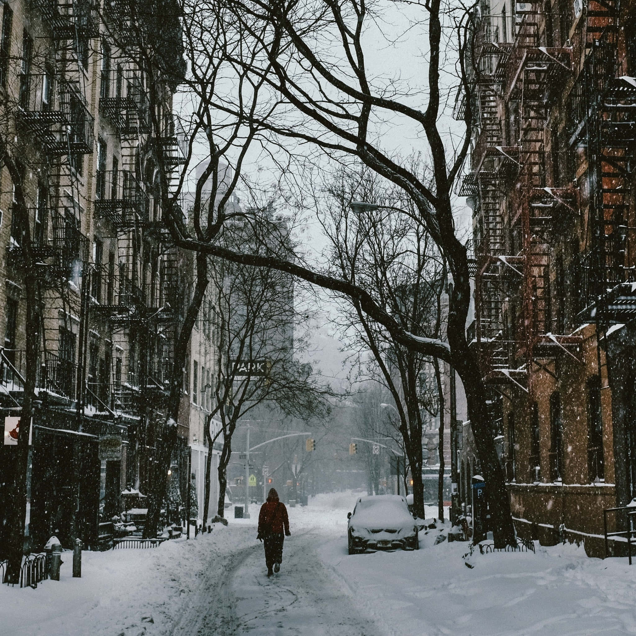 red coat, snow-covered city street, bare trees, Full HD Desktop Wallpaper