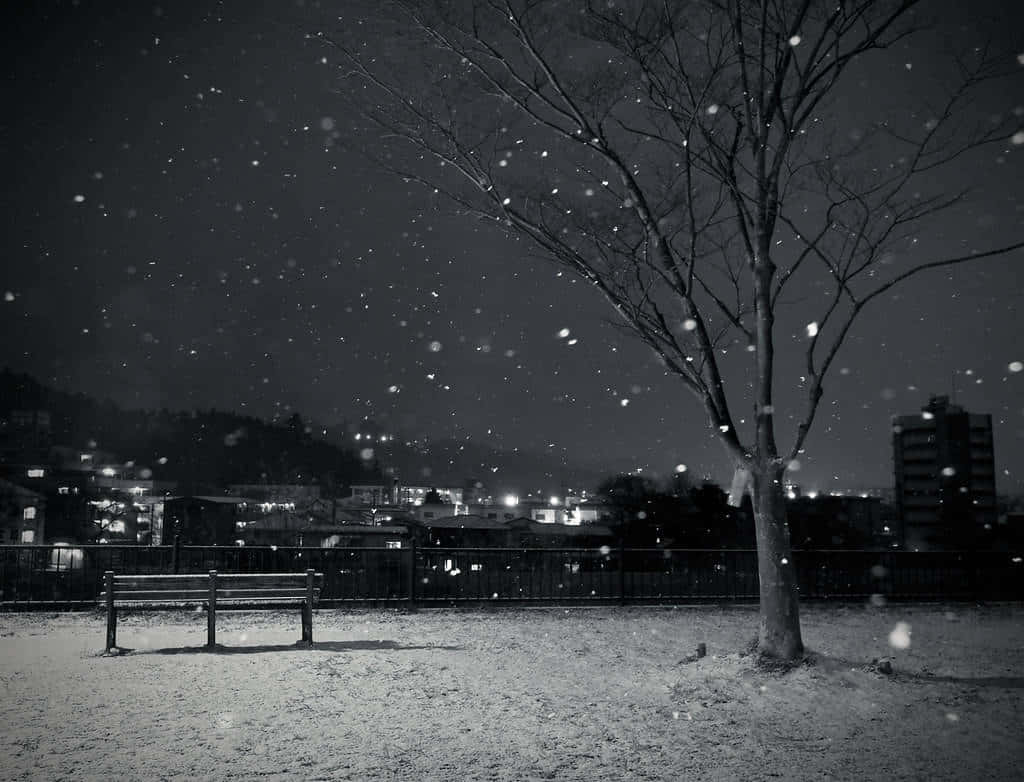 snow-covered bench, bare tree, snowflakes, SD Desktop Wallpaper