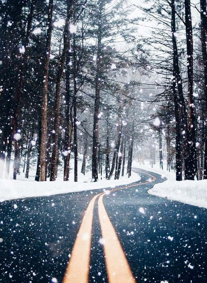 Winter Photography, snowy pine forest, winding road, SD Phone Wallpaper
