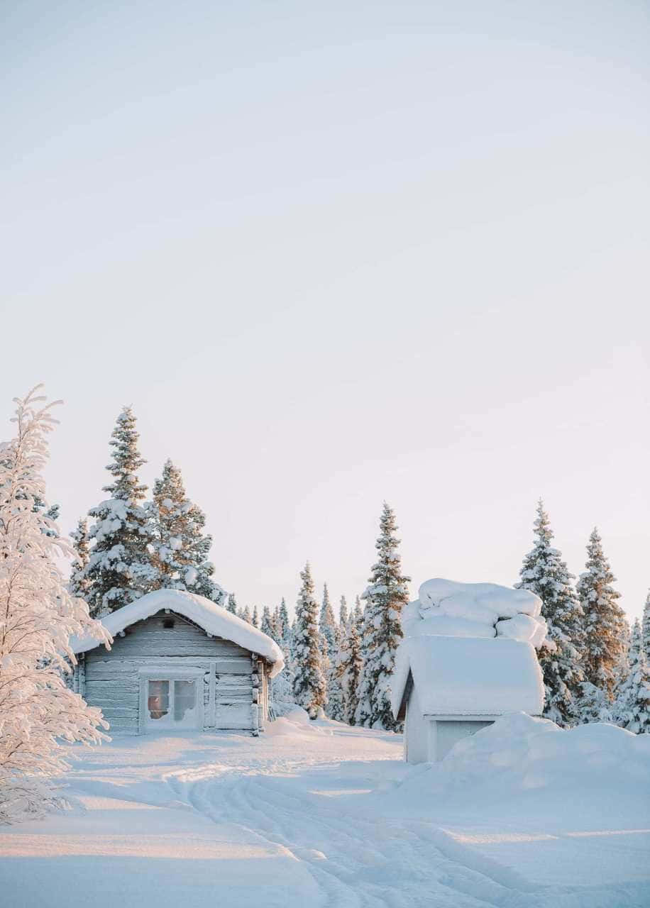Winter Photography, cabin, snow-laden pine trees, HD Phone Wallpaper