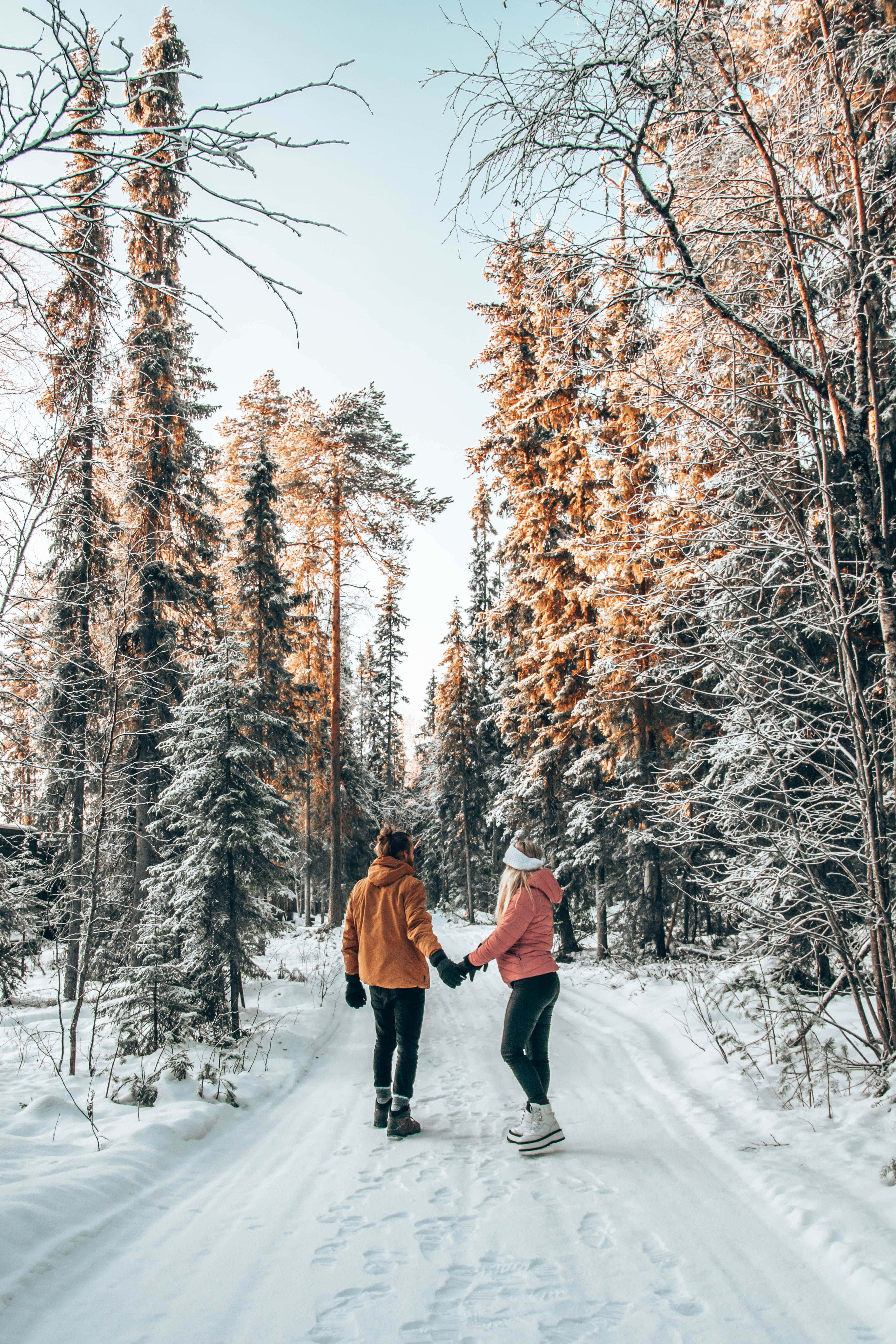 Frosty Winter Wonderland, snowy forest path, golden sunlight, 4K Phone Wallpaper