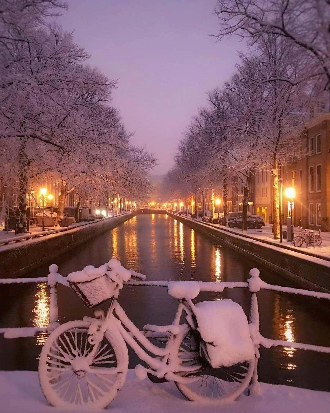 snow-covered bicycle, railing, canal, HD Phone Wallpaper