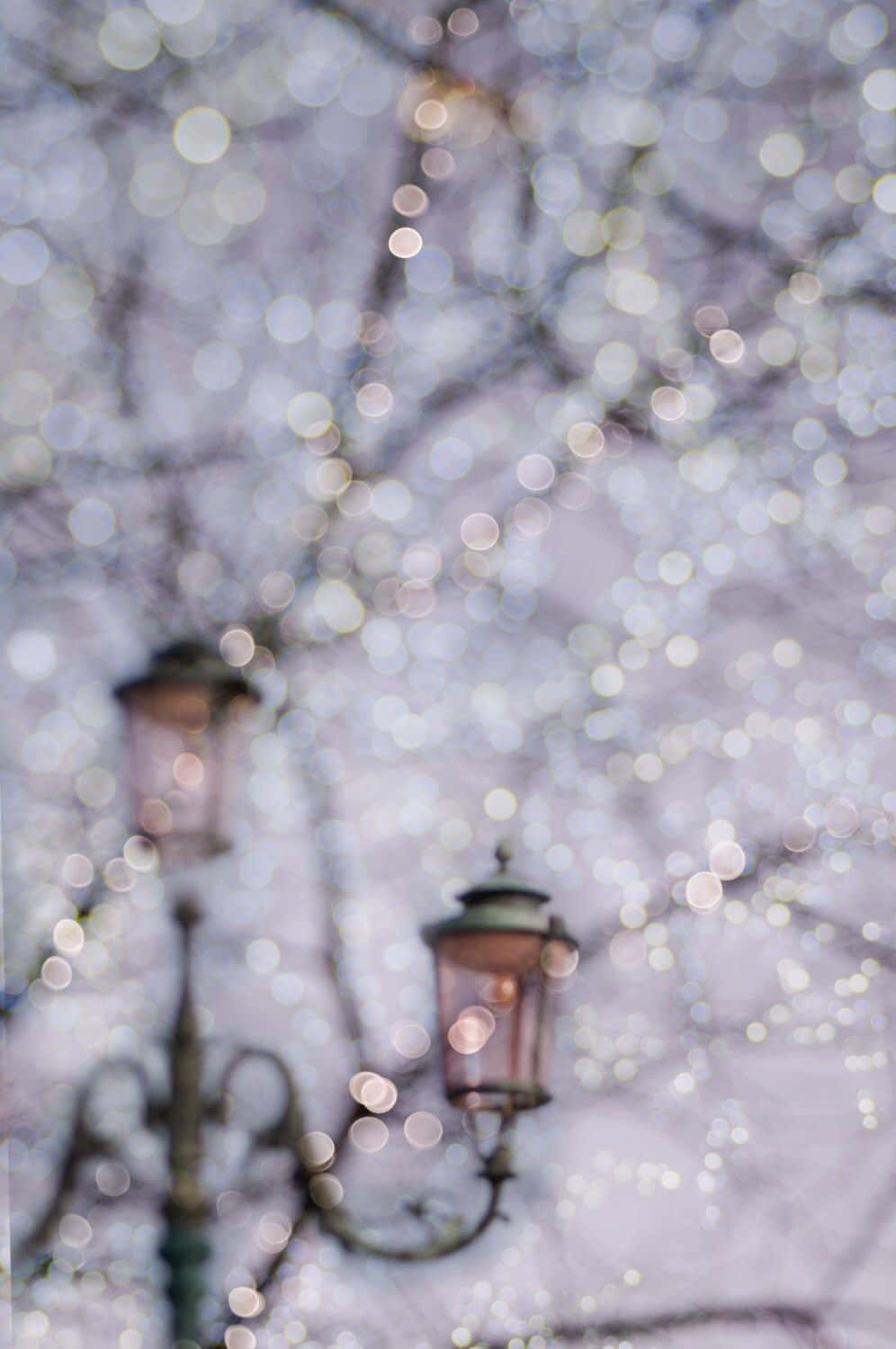 vintage street lamps, bare winter branches, Bokeh lights, HD Phone Wallpaper