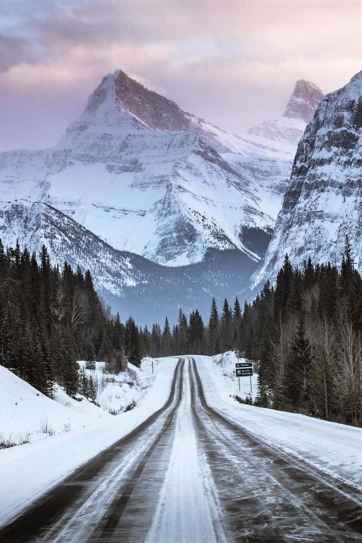 Winter Photography, snow-covered road, forest, SD Phone Wallpaper