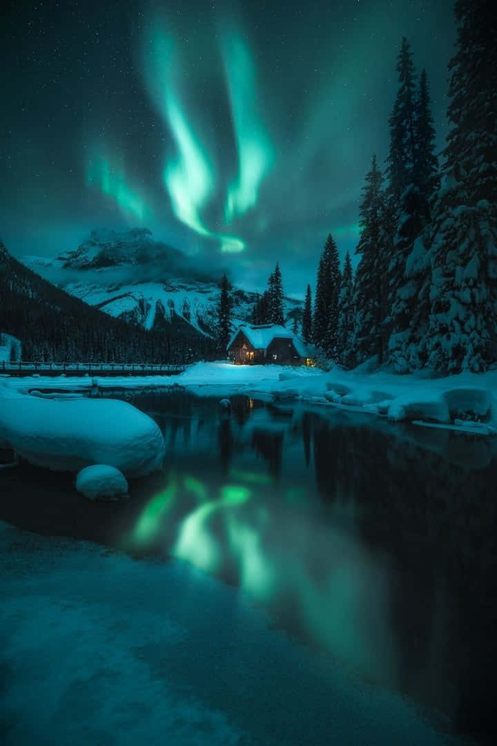 Frosty Winter Sunrise, snowy winter woods, vibrant green aurora borealis, SD Phone Wallpaper