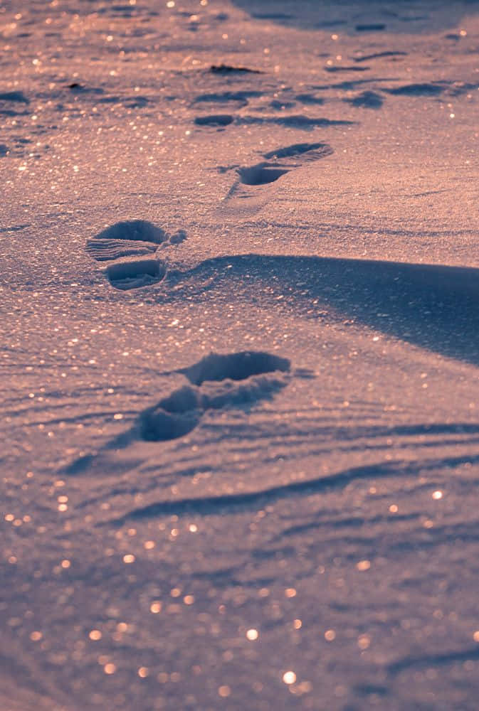 Winter Wonderland Landscape, glistening snow, warm pink light, SD Phone Wallpaper