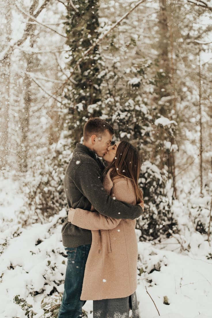Winter Photography, snowy forest, snow covered trees, SD Phone Wallpaper