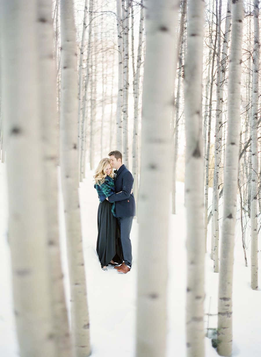 Winter Photography, snowy aspen forest, tall white trunks, SD Phone Wallpaper