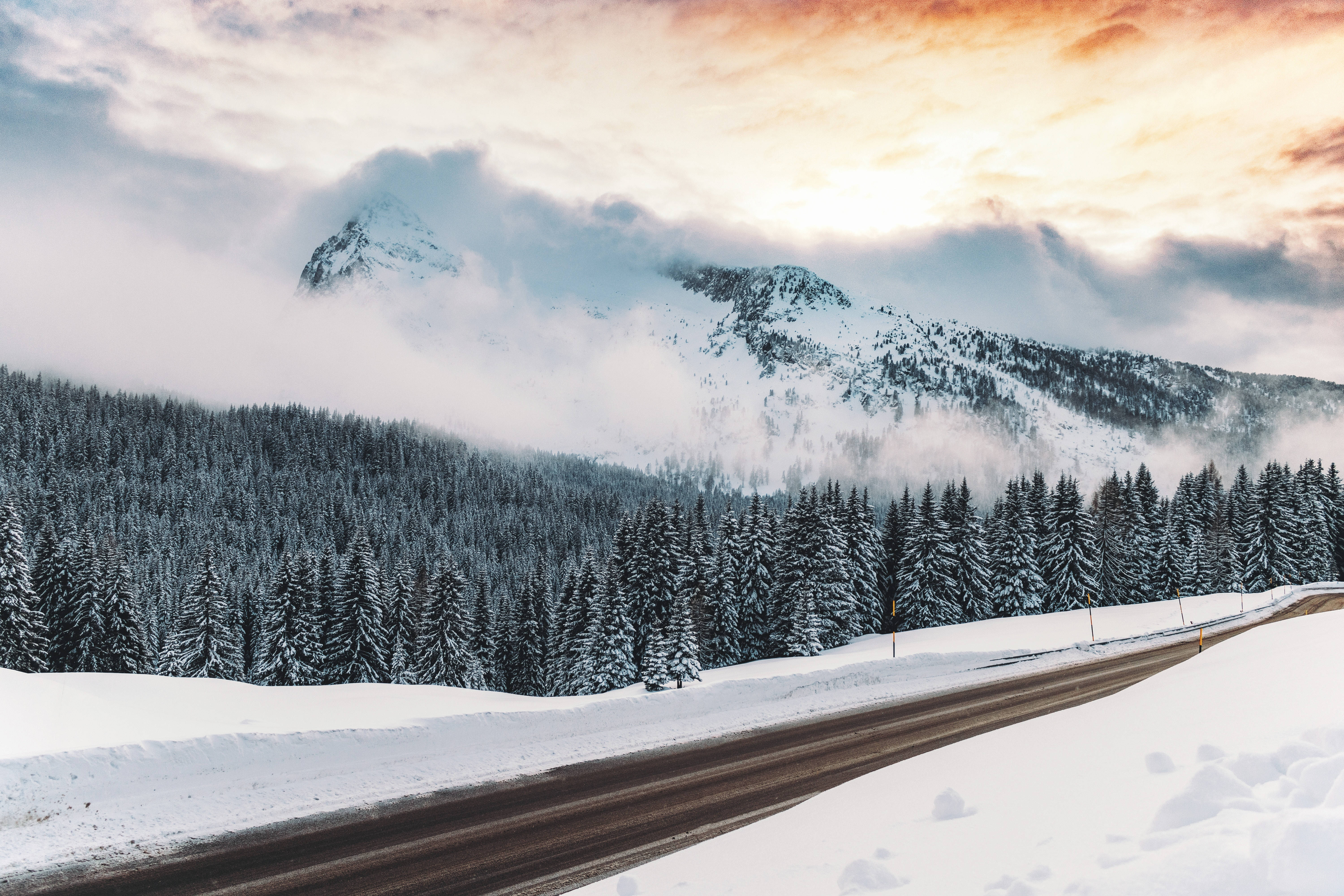 winding road, snowy forest, misty mountains, 5K Desktop Wallpaper