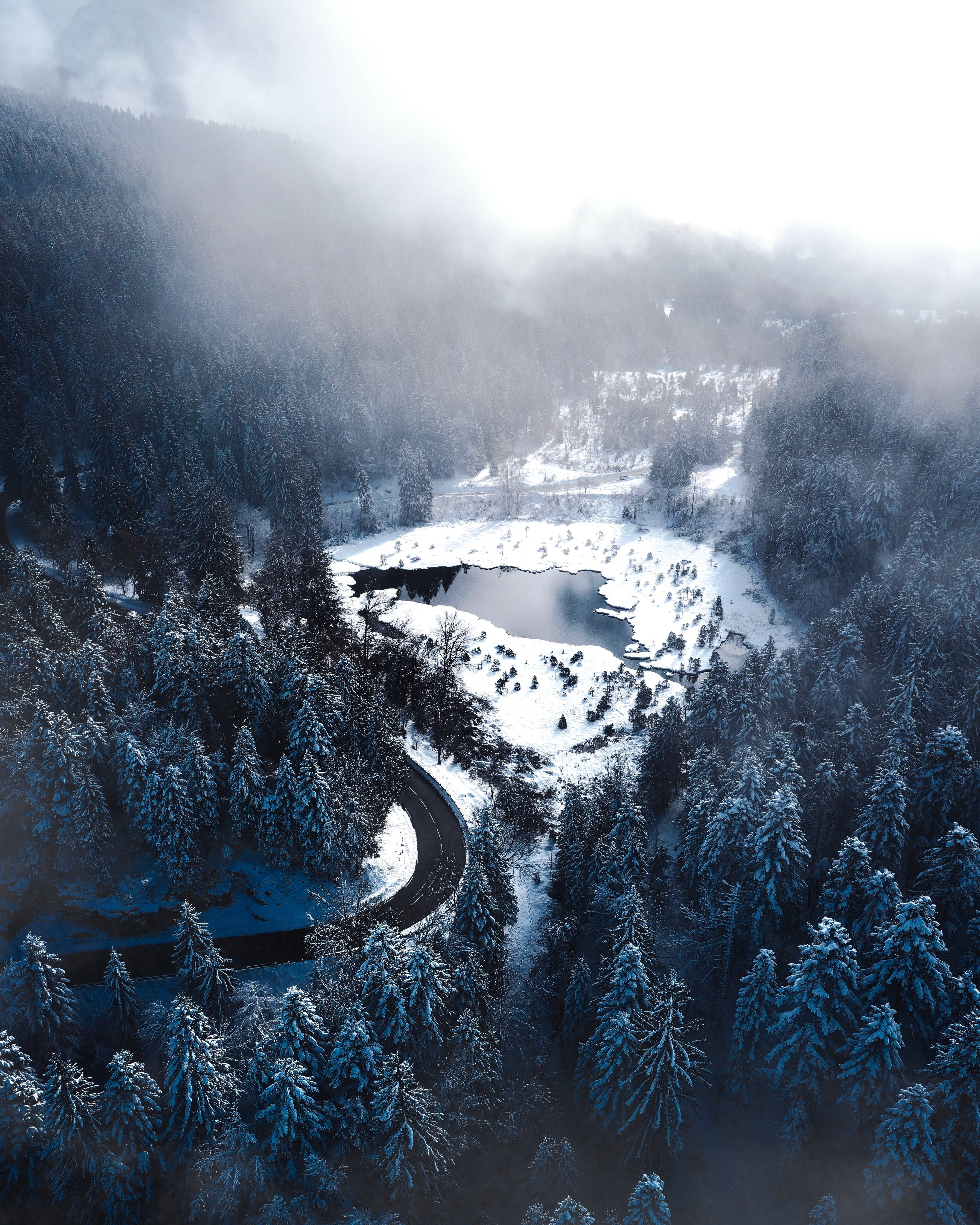 winter forest, frozen lake, snowy forest, 4K Phone Wallpaper