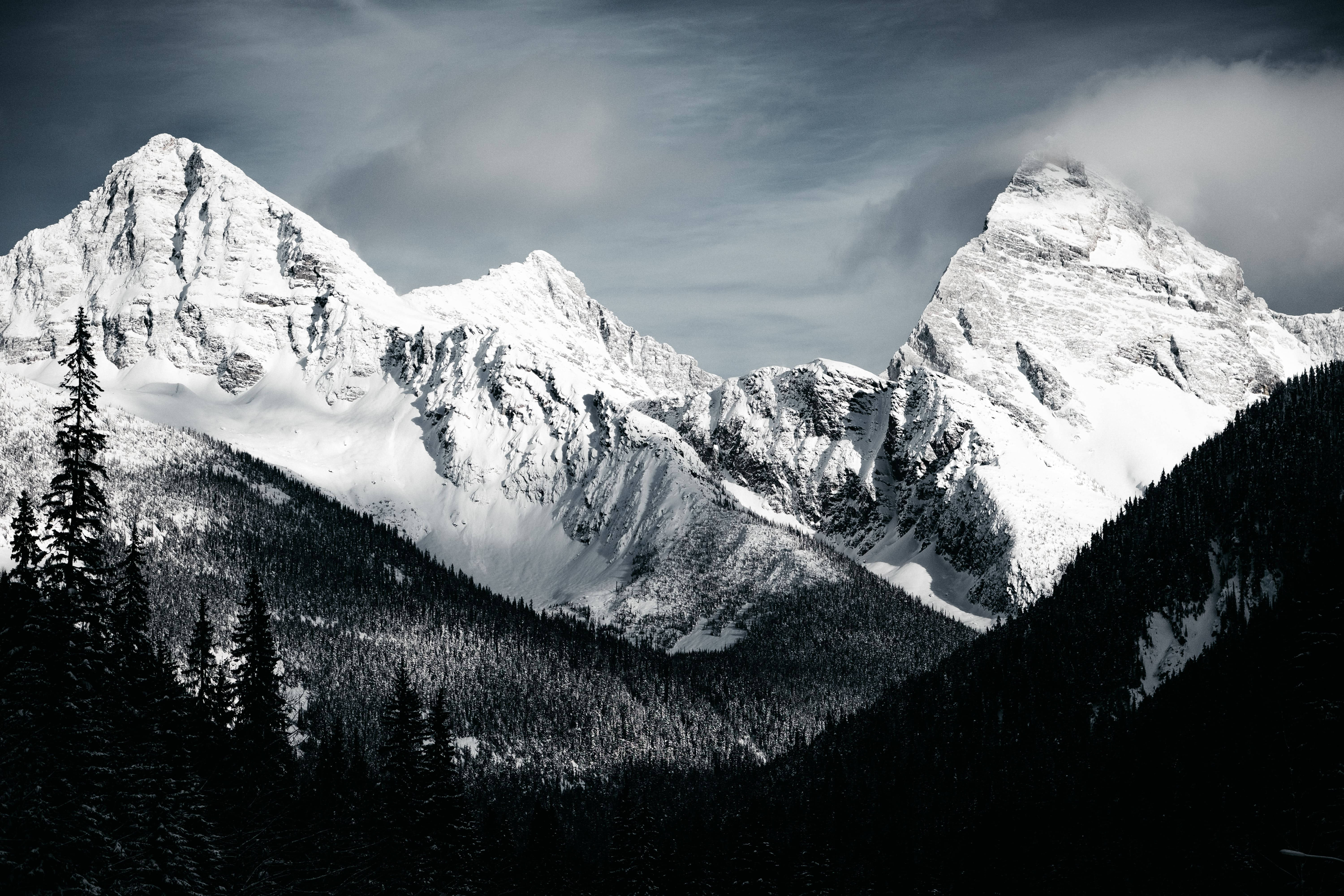 snow-capped mountain peaks, moody sky, dense evergreen forest, 5K Desktop Wallpaper