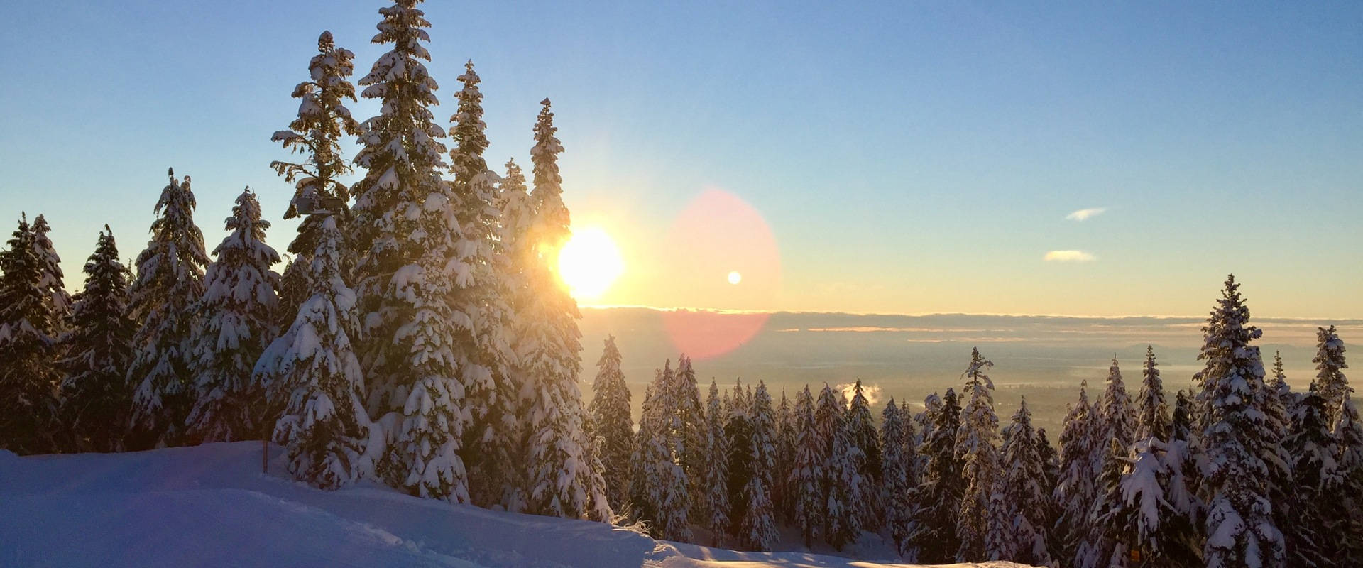 Winter Season Sun Glimpse, sunrise, snow-laden pine trees, Full HD Desktop Wallpaper