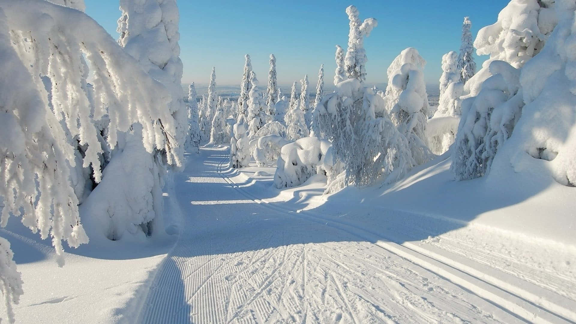 winter scenery desktop, 1920 x 1080, snow-covered forest path, Full HD Desktop Wallpaper