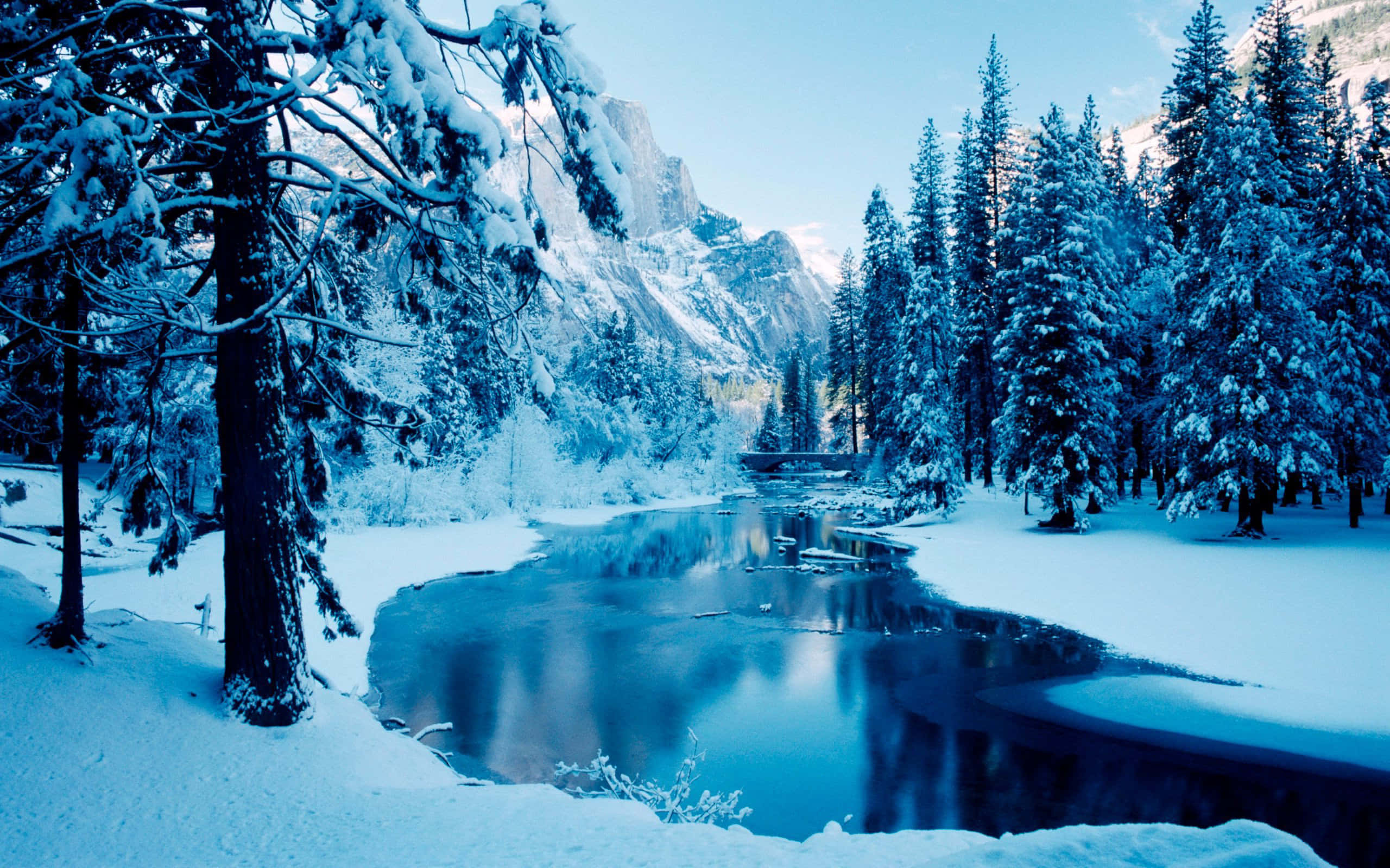 winter scenery desktop, snow-covered pine trees, calm blue river, 2K Desktop Wallpaper