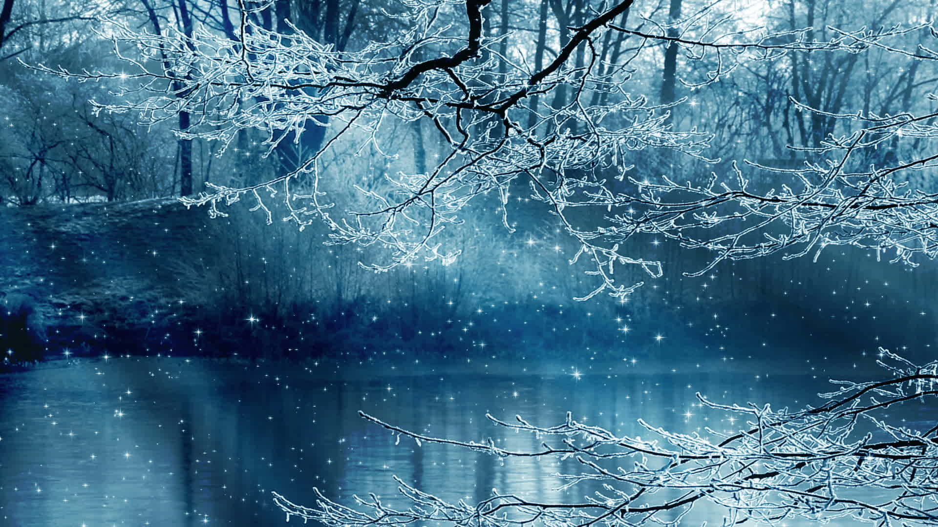 Snowy Day Winter Scenery Desktop, frozen branches, ice crystals, Full HD Desktop Wallpaper