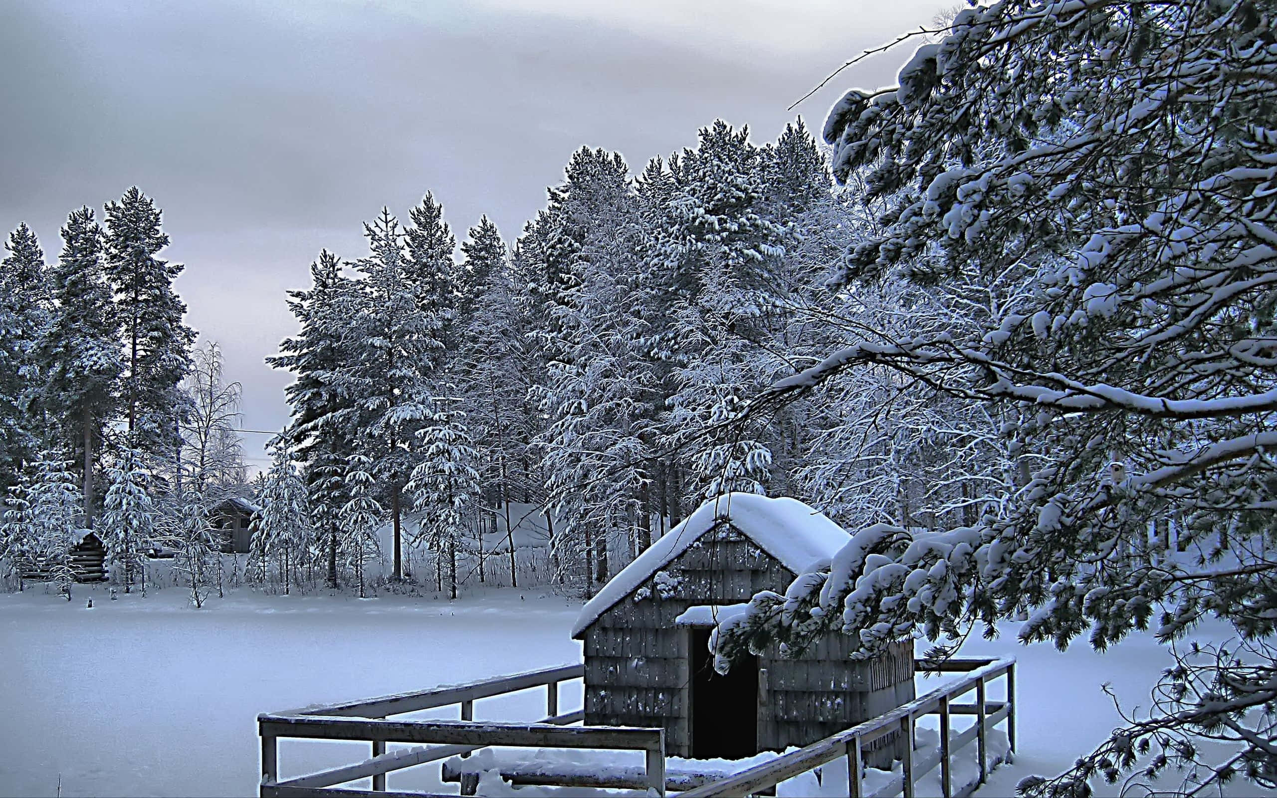 snow-covered wooden cabin, frozen lake, evergreen trees, 2K Desktop Wallpaper