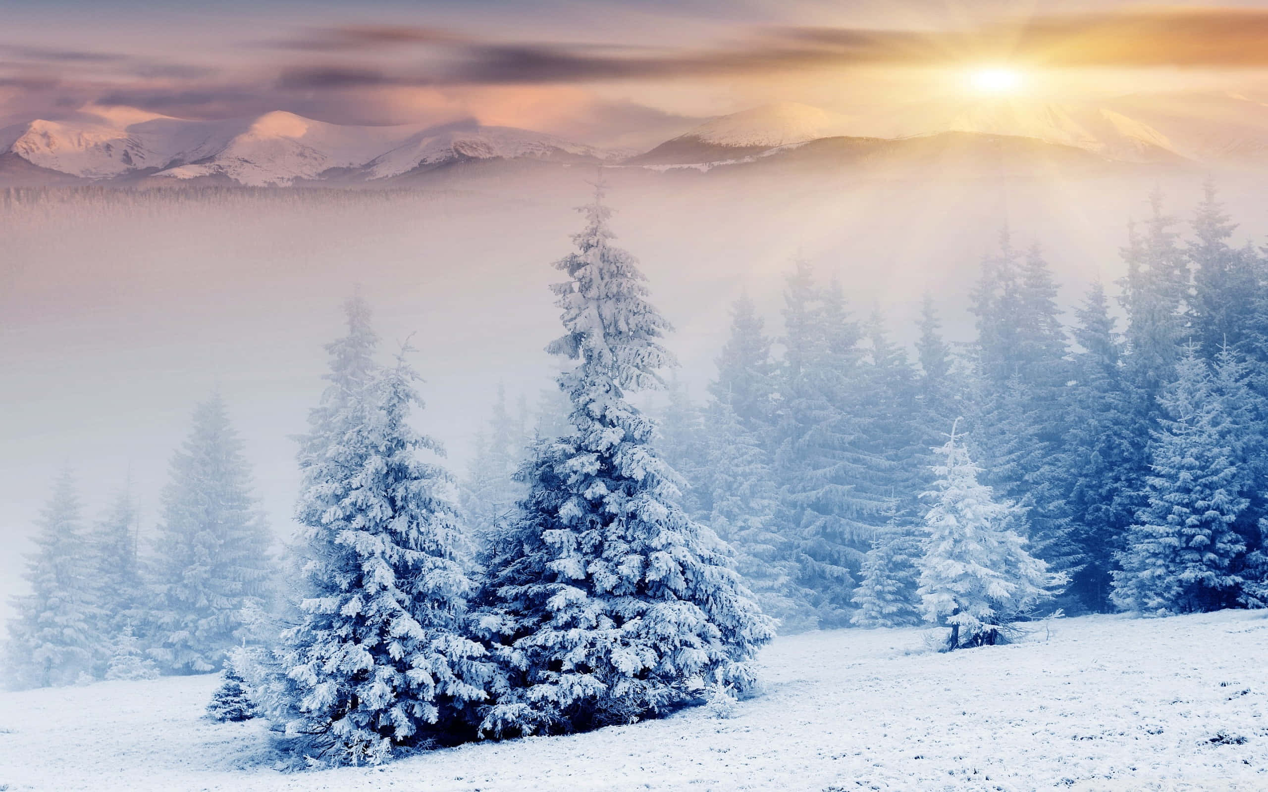 Winter Wonderland Desktop, sunlight, mist, 2K Desktop Wallpaper