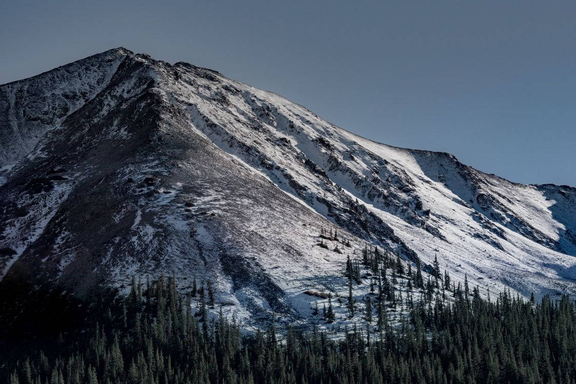 snow-dusted mountain peak, clear blue sky, evergreen trees, SD Desktop Wallpaper