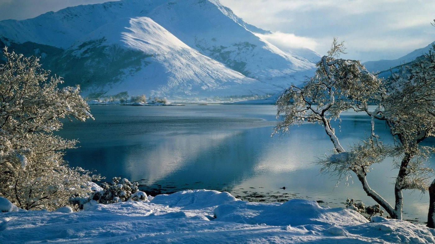 Winter Scene Calm Landscape, snow, frost-covered trees, HD Desktop Wallpaper