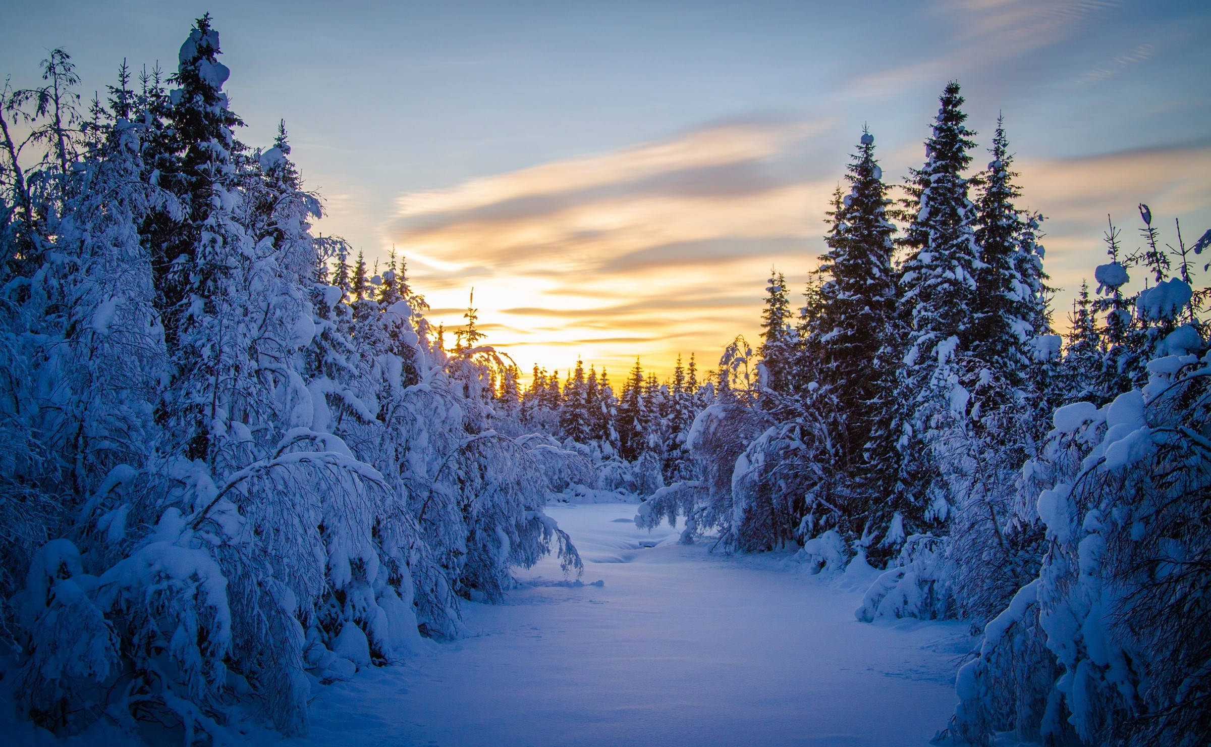 Winter Season, orange sky, snow-covered forest path, Full HD Desktop Wallpaper