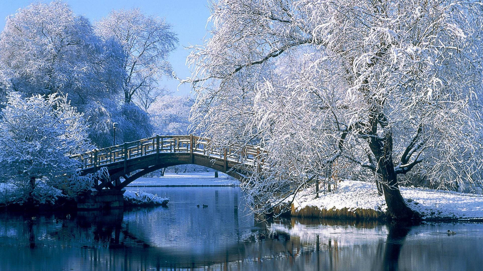1920x1080, wooden arched bridge, calm river, Full HD Desktop Wallpaper