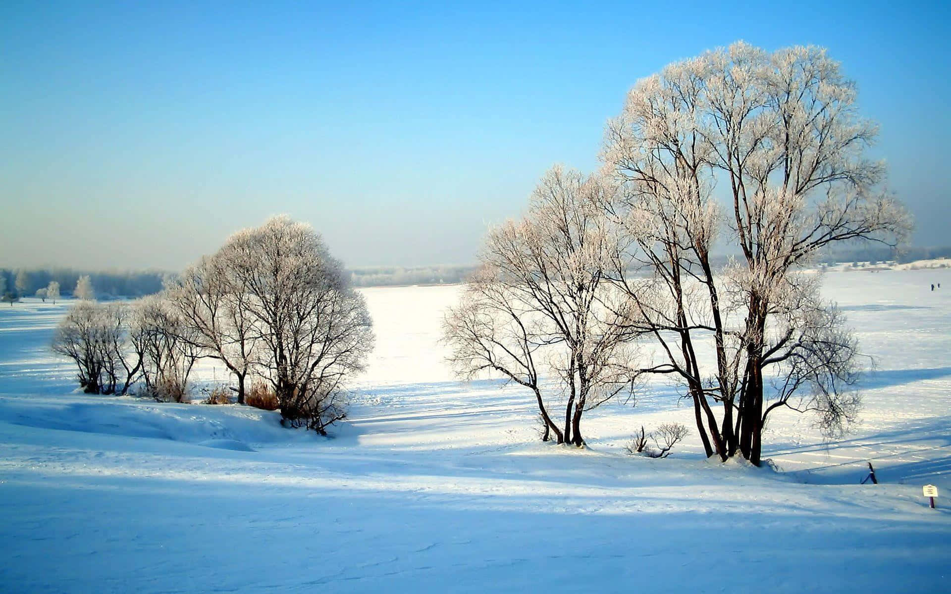 winter snow desktop, mountain peak, frozen trees, Full HD Desktop Wallpaper