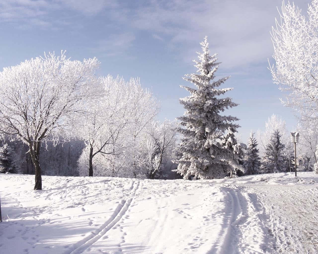 Winter Snow Desktop, 1280 x 1024, snowy winter path, HD Desktop Wallpaper