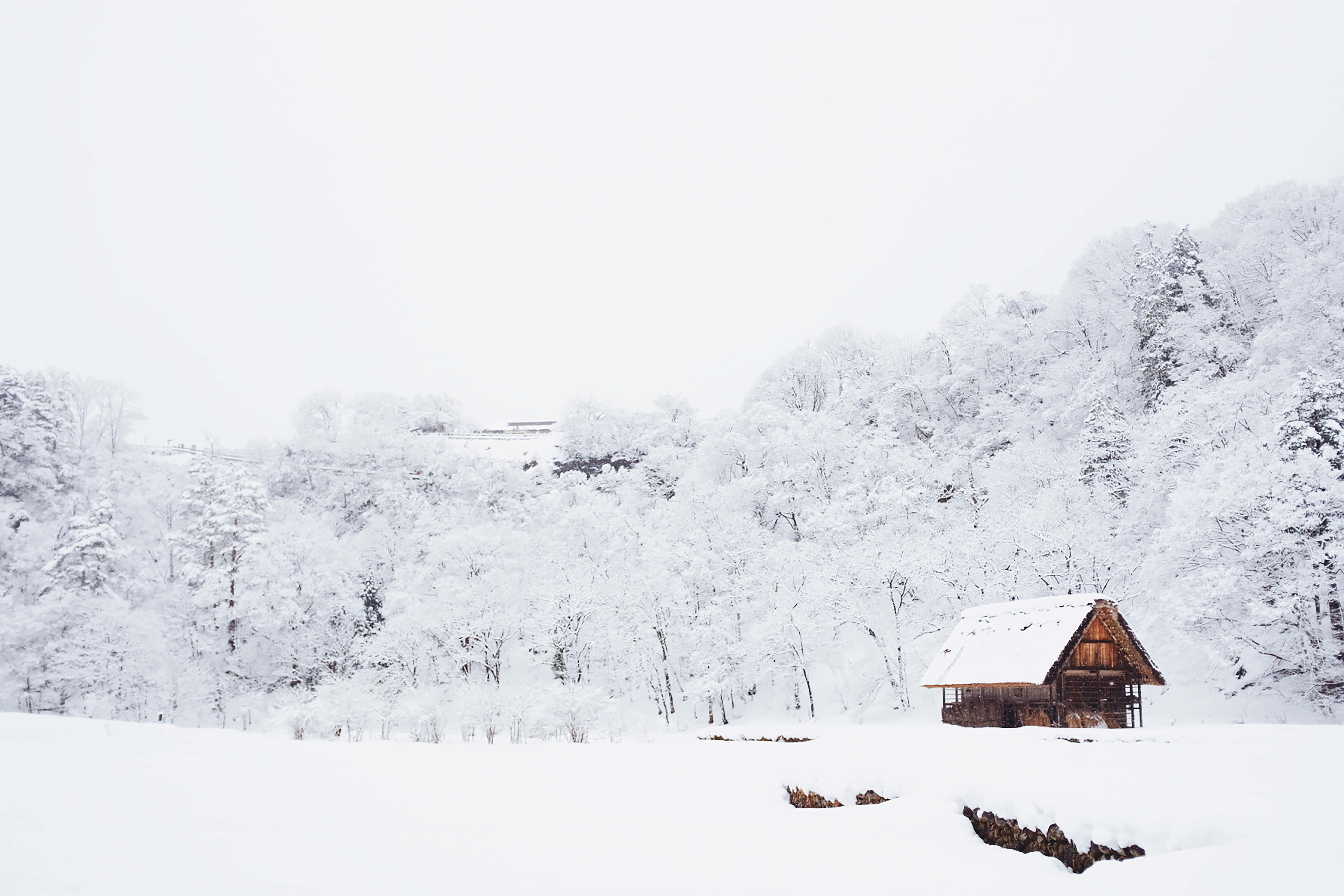 Winter Snow Desktop, wooden cabin, snowy field, 5K Desktop Wallpaper