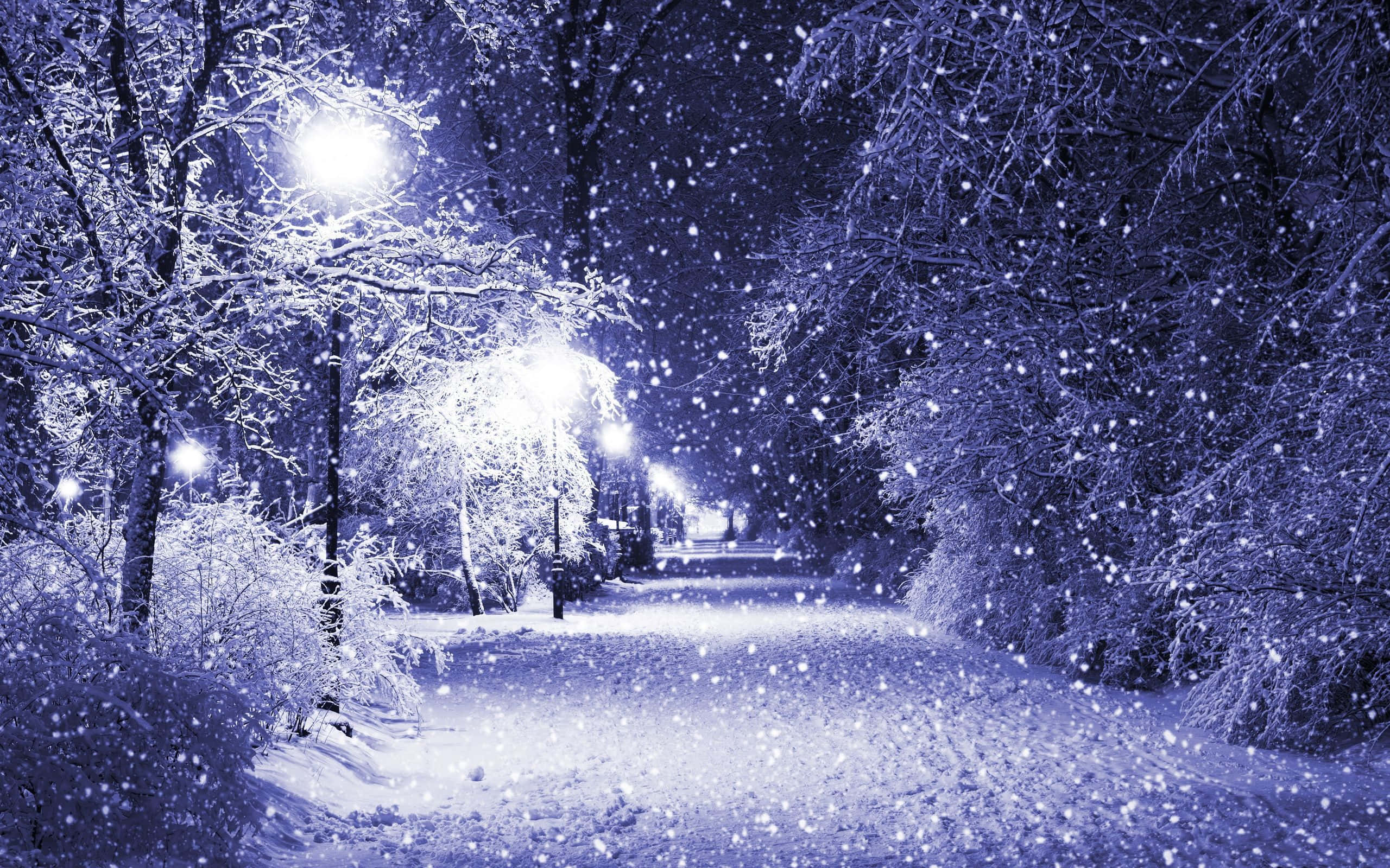 snowflakes, streetlights, frosty winter park, 2K Desktop Wallpaper