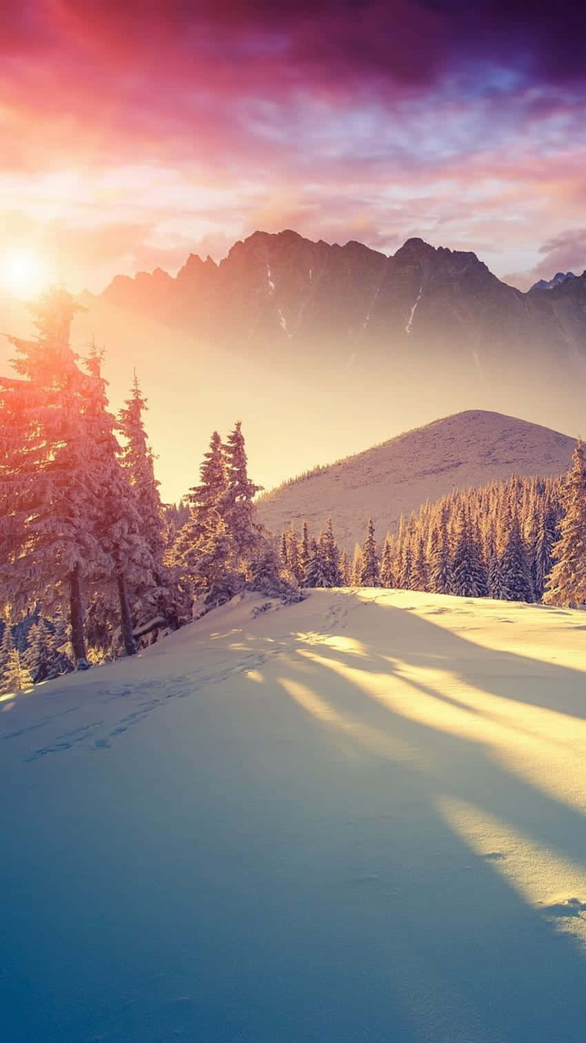 Winter Snow Desktop, sunrise, snowy mountains, HD Phone Wallpaper