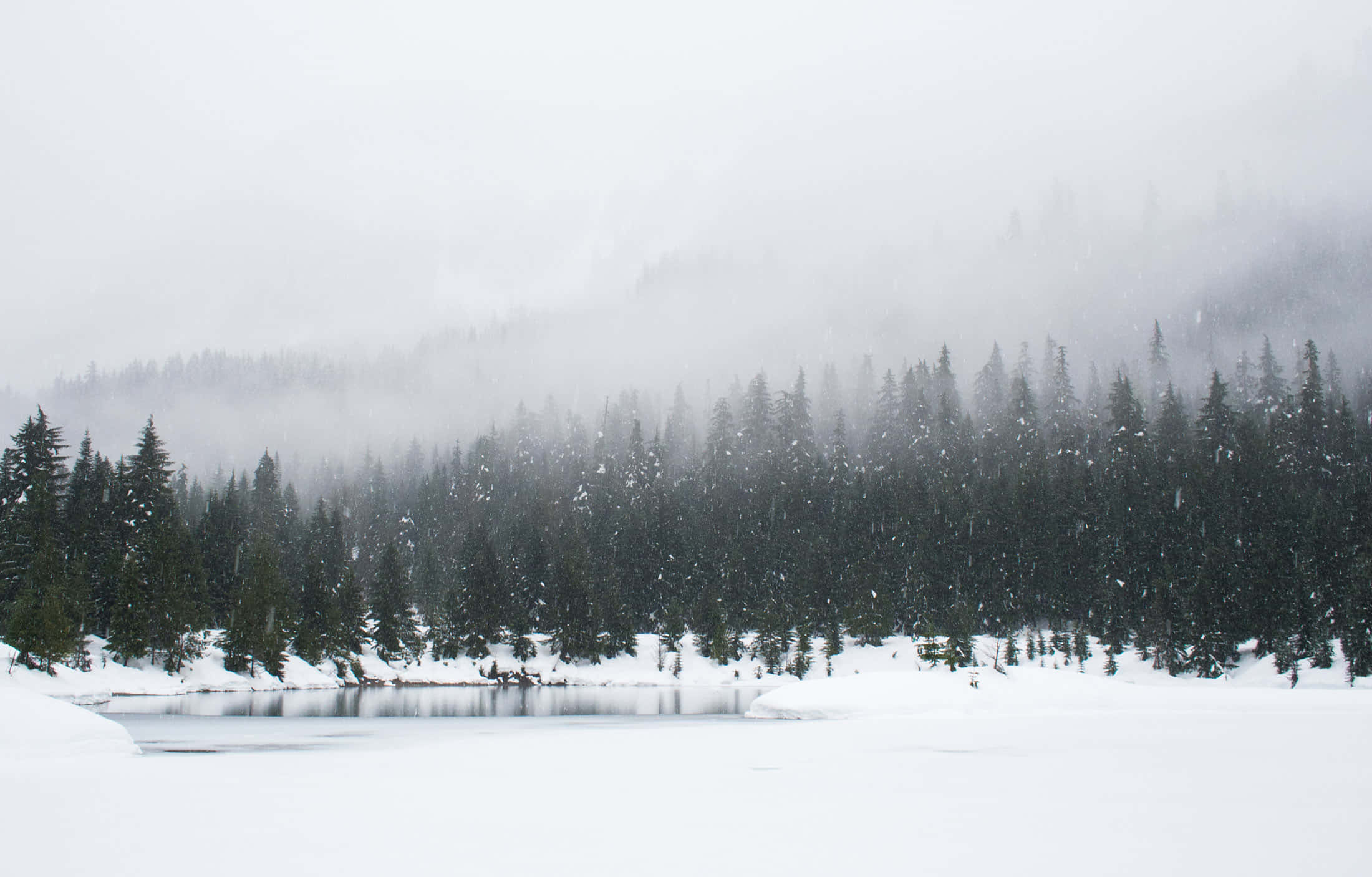 winter snow desktop, frozen lake, evergreen trees, Full HD Desktop Wallpaper
