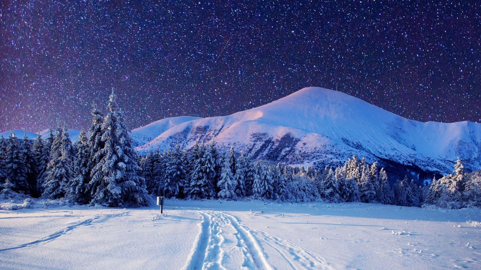winter snow desktop, snow-covered desktop, starry night sky, Full HD Desktop Wallpaper