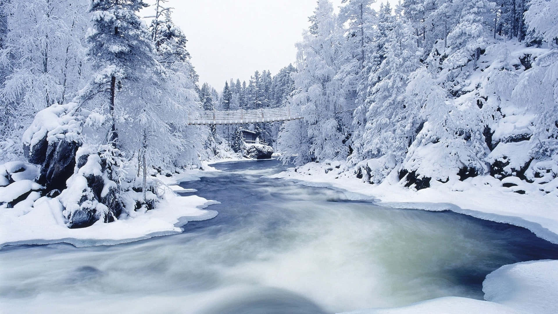 Winter Snow Desktop, snow-covered suspension bridge, frosted evergreen trees, Full HD Desktop Wallpaper