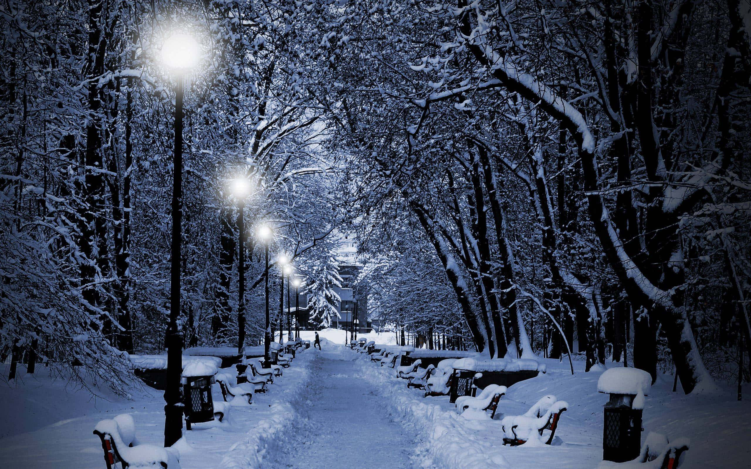 Winter Snow Desktop, snow-covered park pathway, night, 2K Desktop Wallpaper