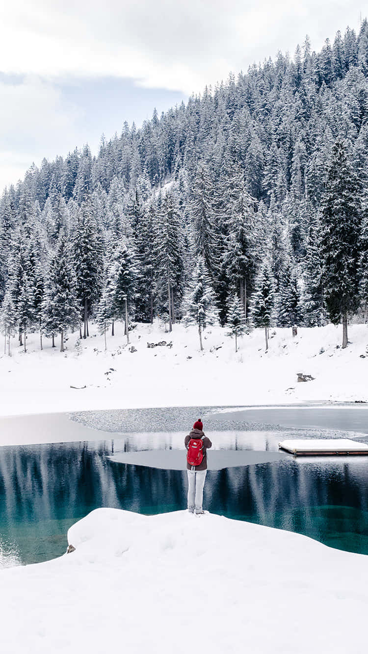 winter snow desktop, 750 x 1334, snow-covered pine trees, HD Phone Wallpaper