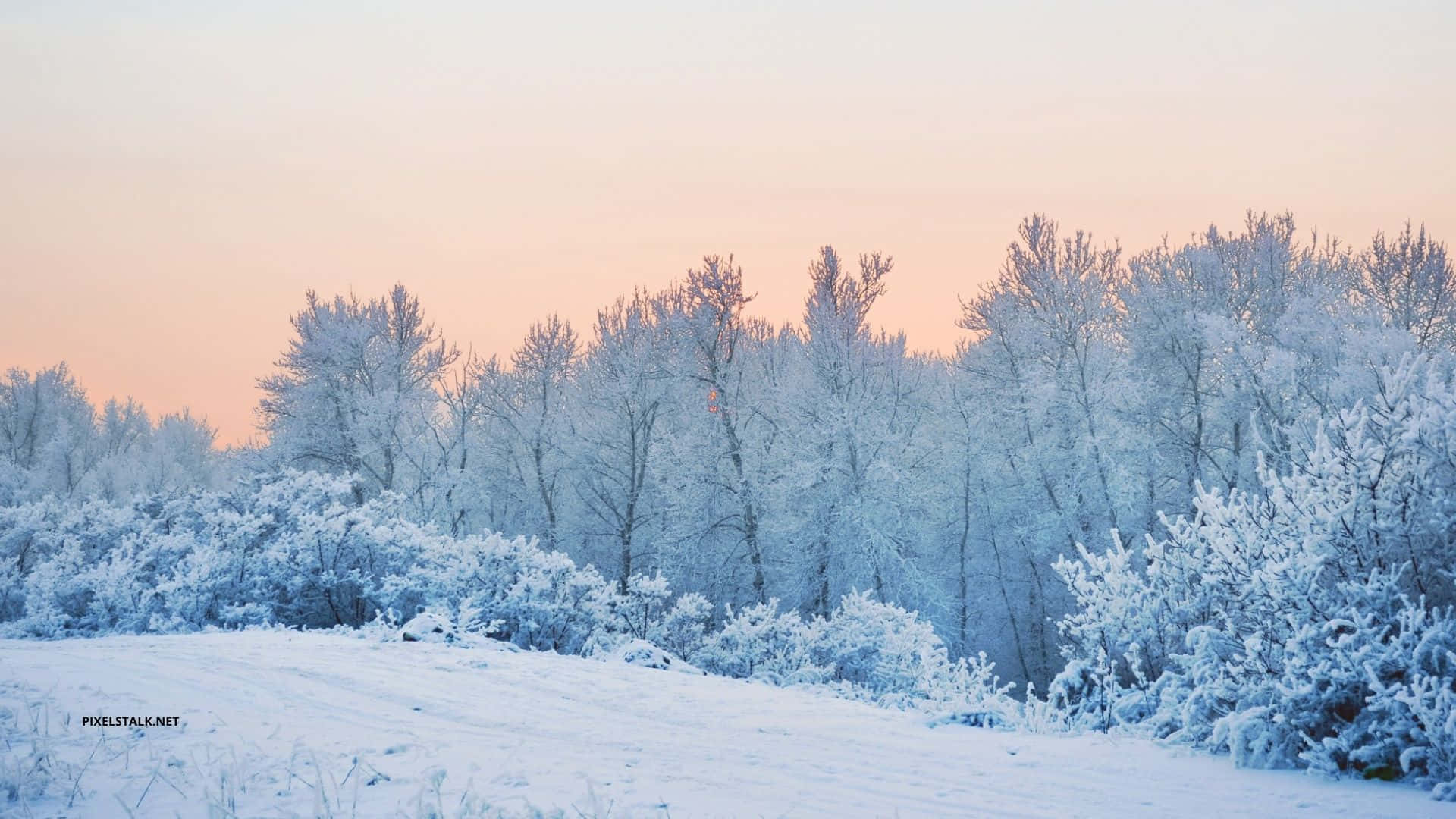 Winter Snow Desktop, cozy cabin, snowy window, Full HD Desktop Wallpaper