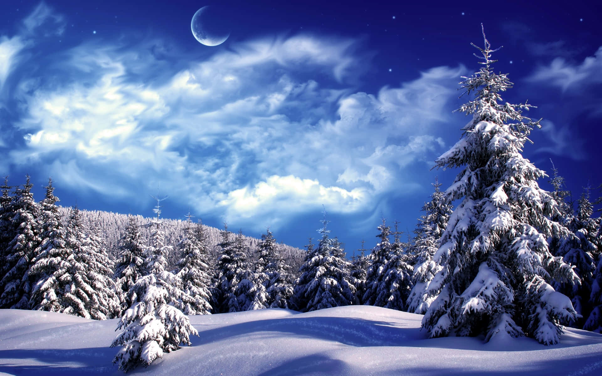Winter Snow Desktop, pine trees, vibrant blue night sky, Full HD Desktop Wallpaper