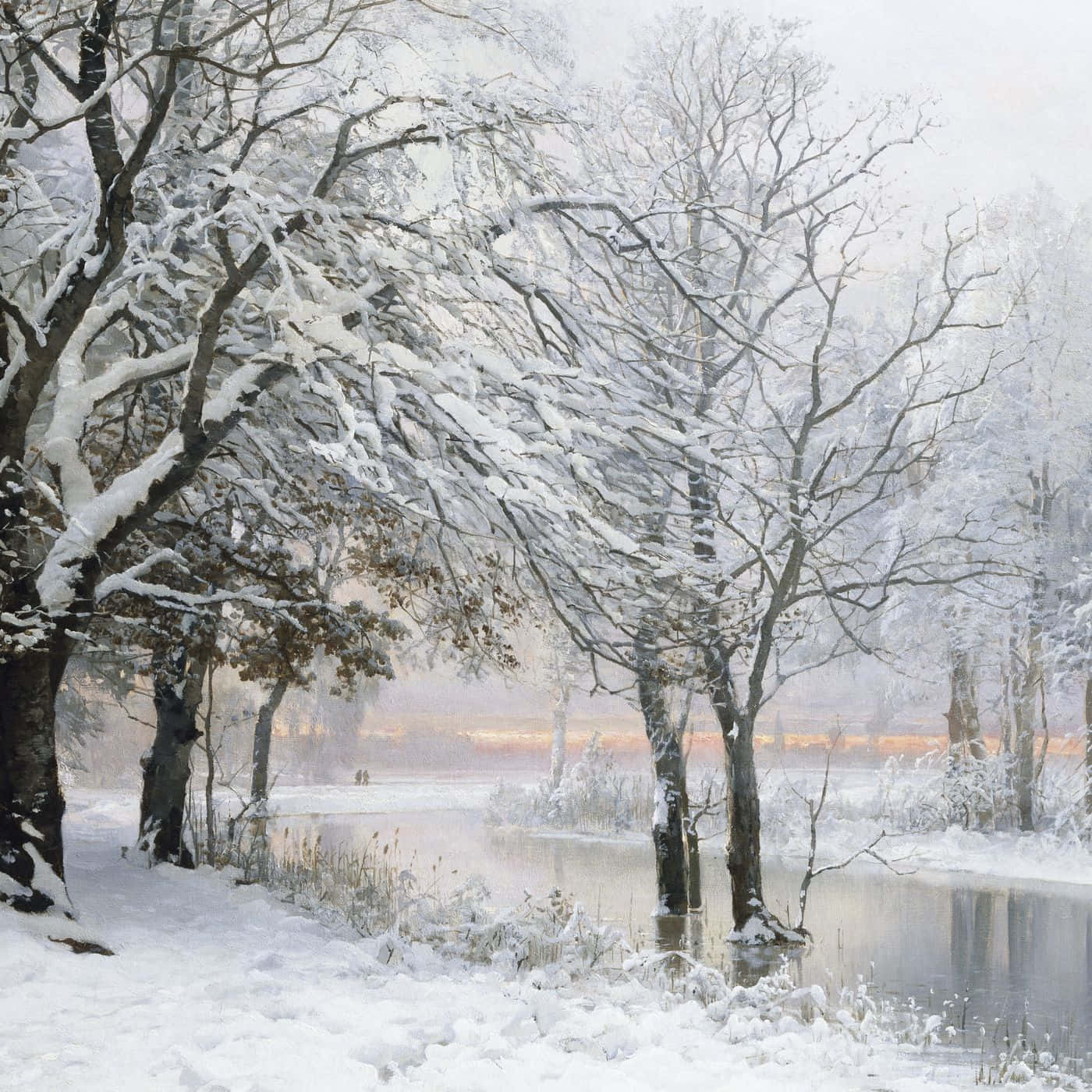 Winter Solstice, snow-laden trees, misty winter river, HD Desktop Wallpaper