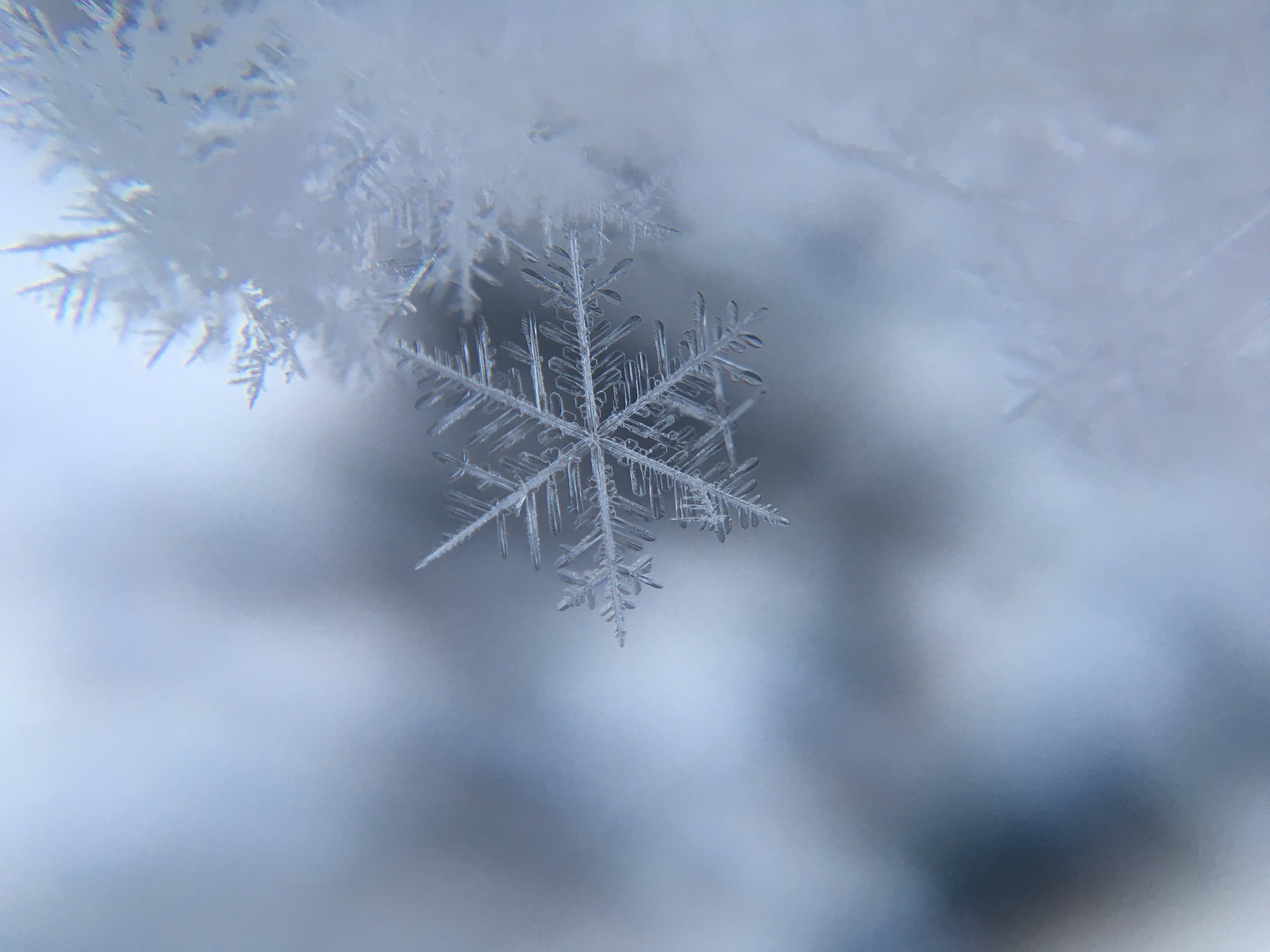 snowflake, frosty surface, blue and white tones, 4K Desktop Wallpaper