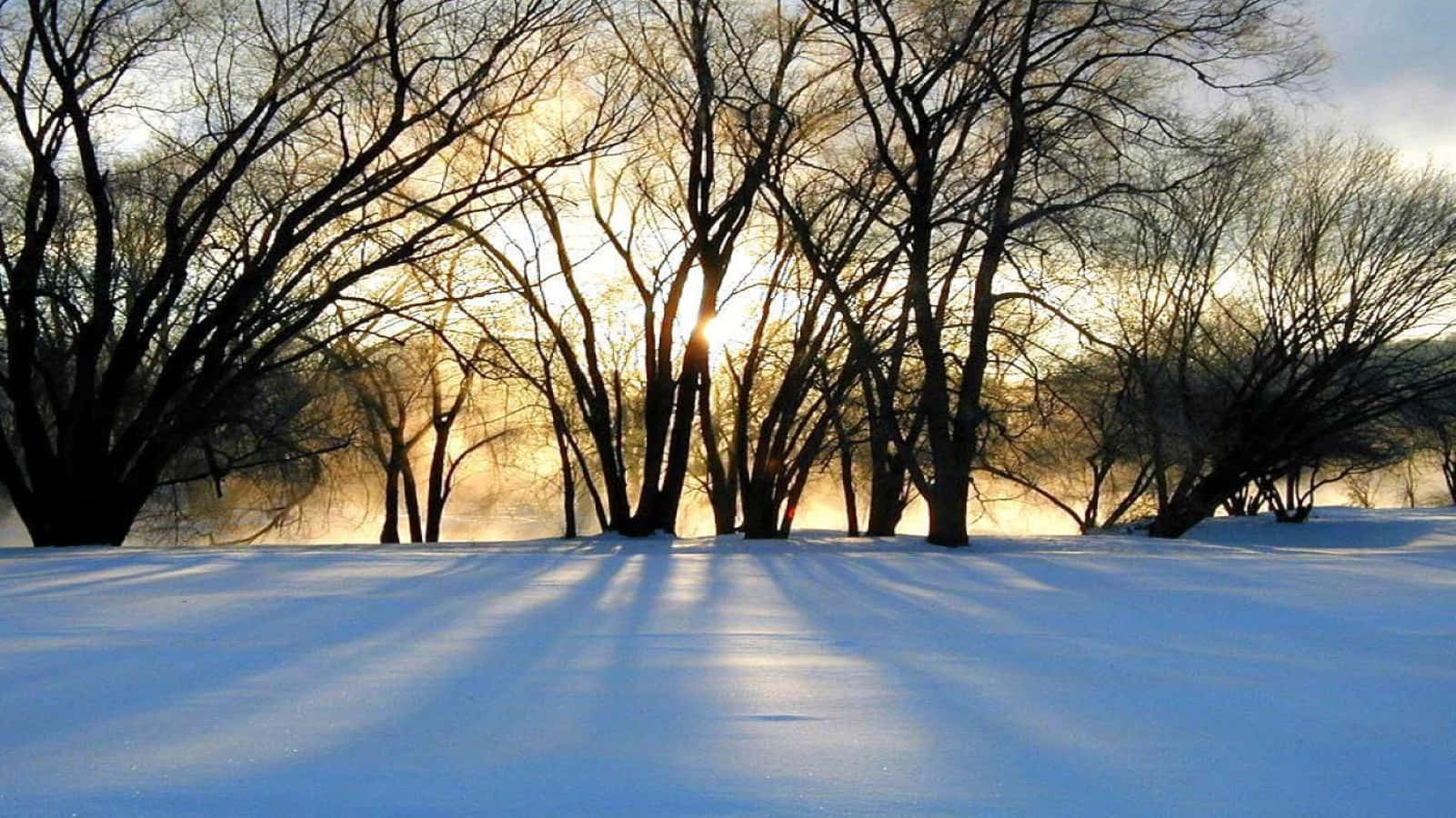 Winter Solstice, snowy landscape, bare winter trees, HD Desktop Wallpaper