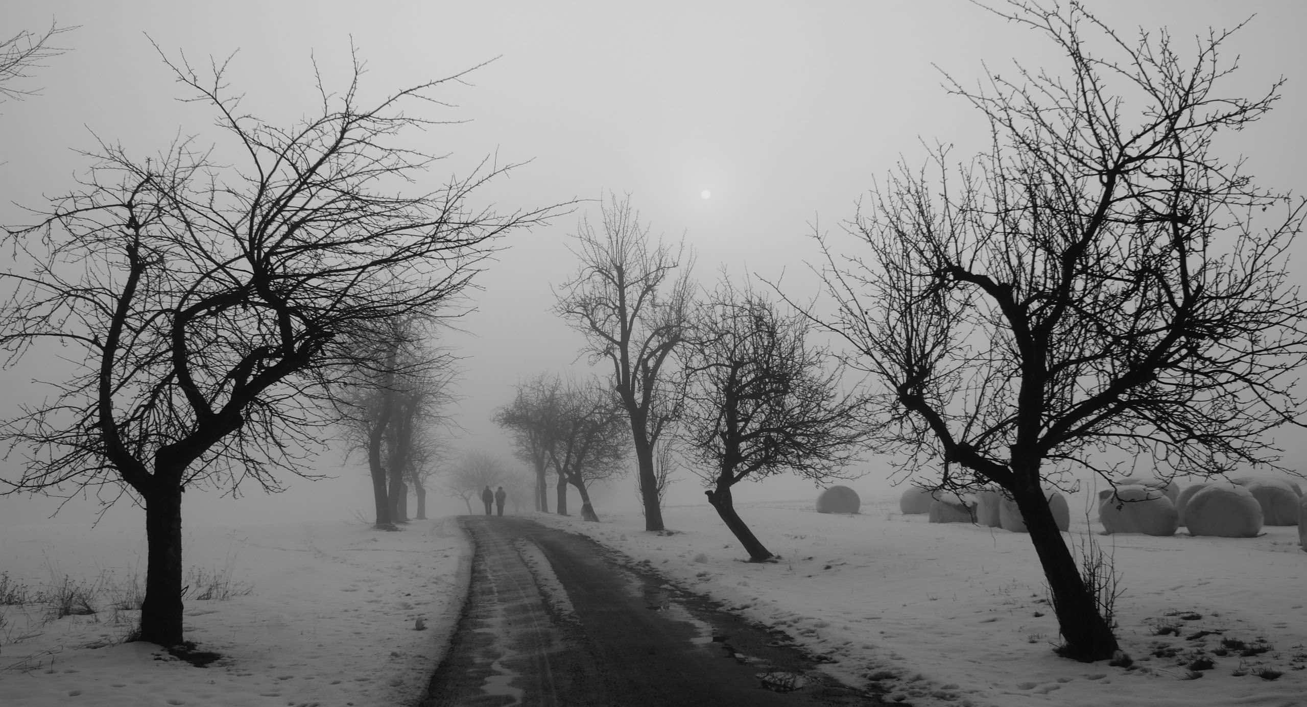 Winter Solstice, snowy, foggy field, Full HD Desktop Wallpaper