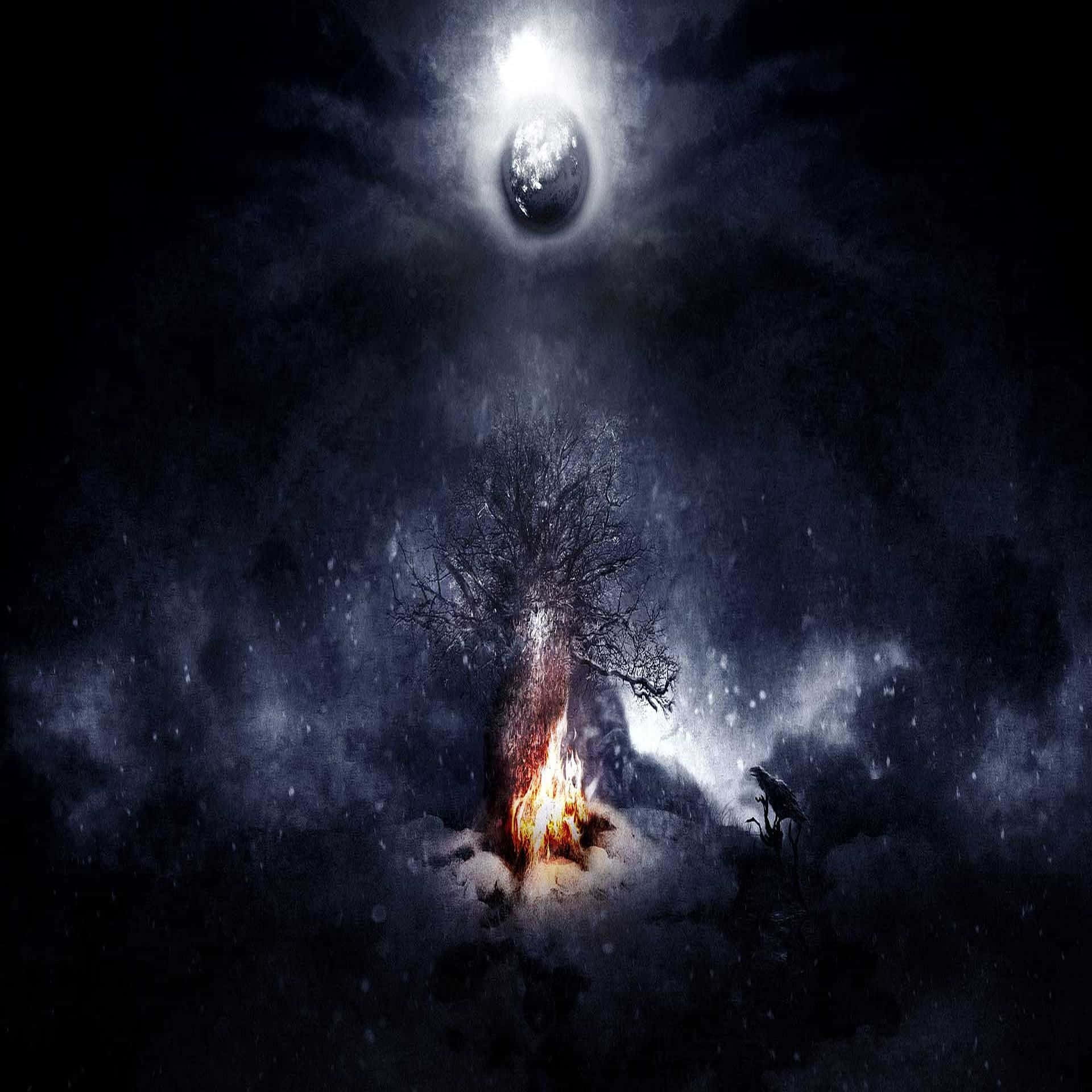 Winter Solstice, burning tree, snowy darkness, Full HD Desktop Wallpaper