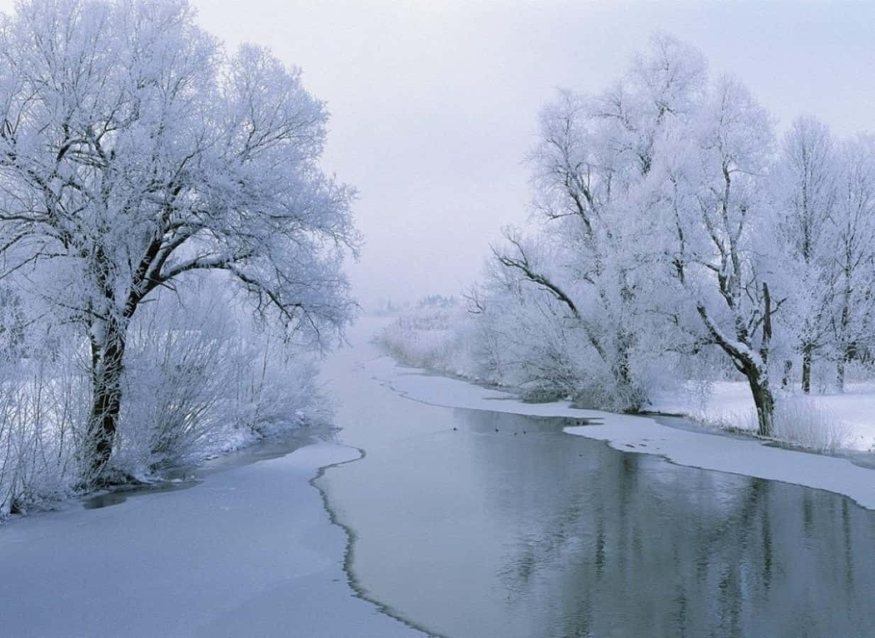 Winter Solstice, frozen river, snowy forest, SD Desktop Wallpaper