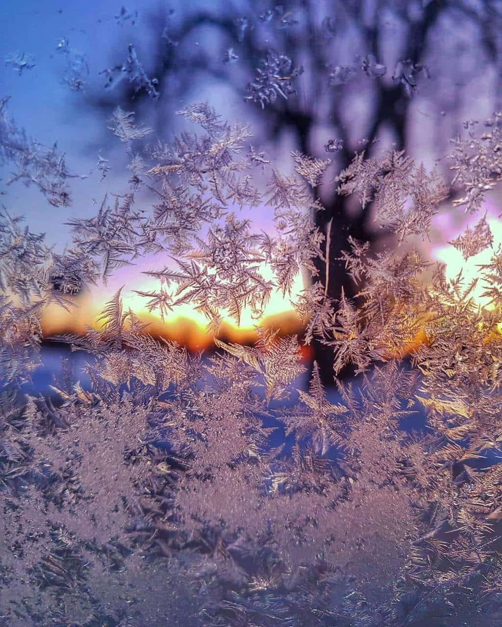 Winter Solstice, frost crystals, windowpane, HD Phone Wallpaper