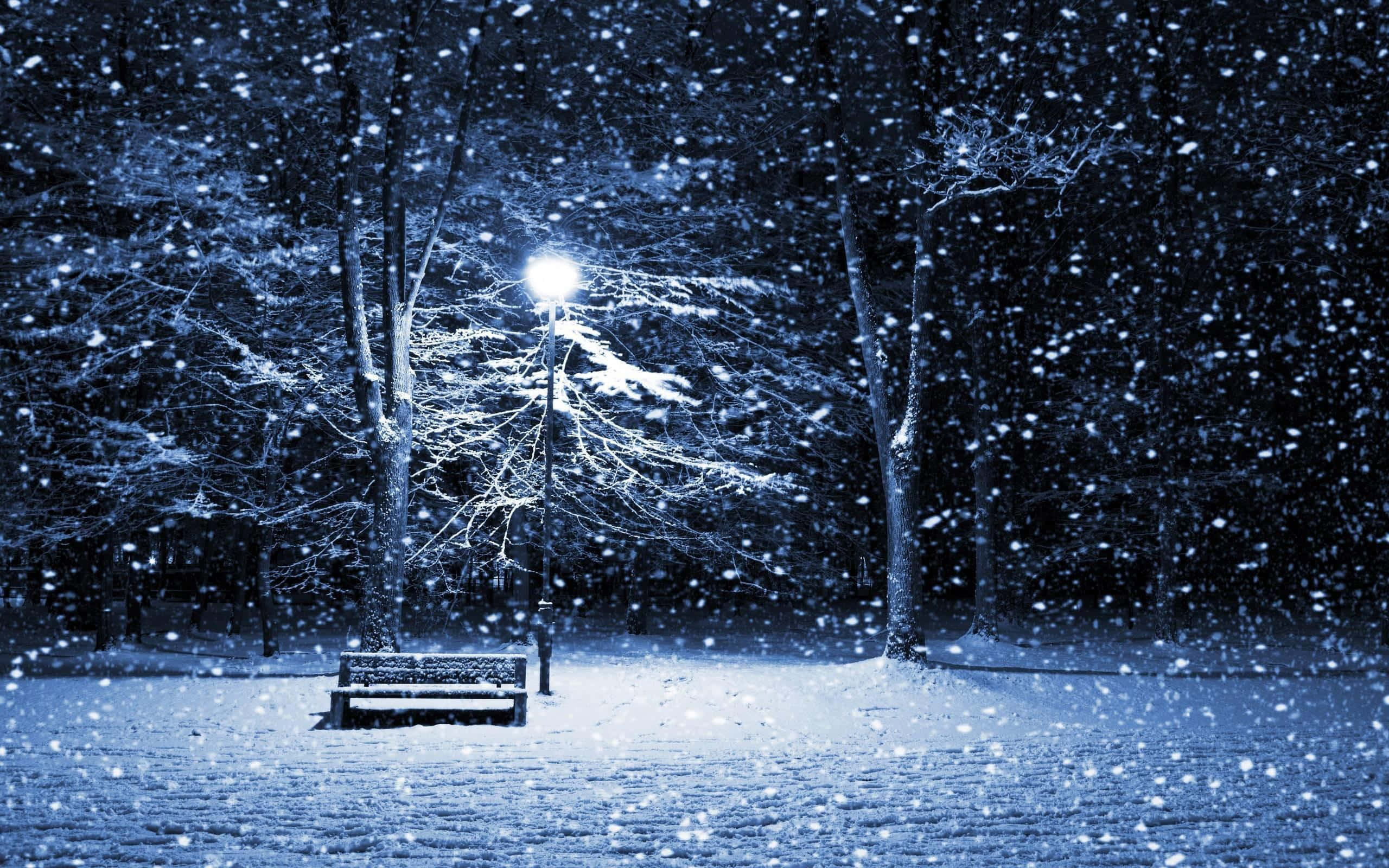 Winter Solstice, snow-covered bench, streetlamp, 2K Desktop Wallpaper