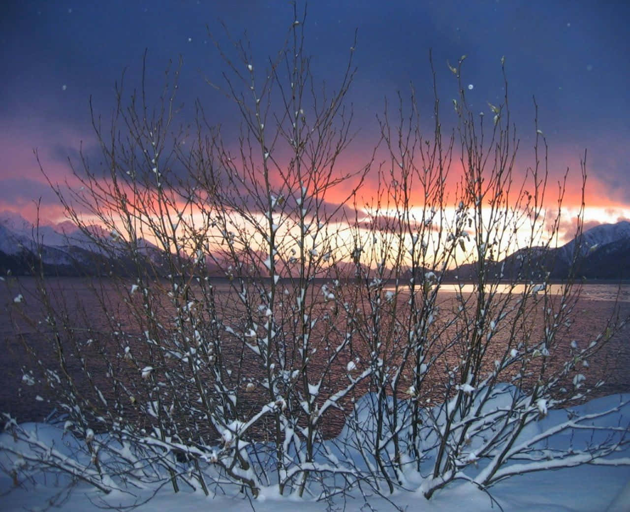 Winter Solstice, snow-dusted bare branches, serene winter lake, HD Desktop Wallpaper